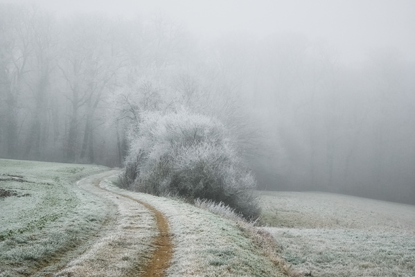 Where did the path go?