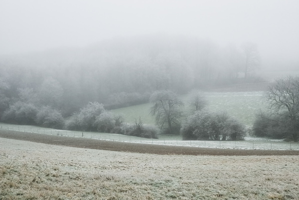 When the countryside decided to wear white