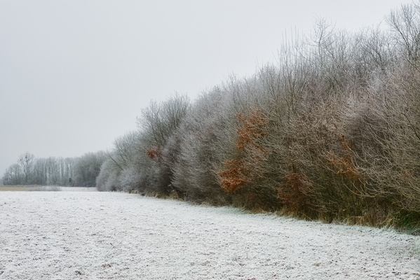Cold feet on a Sunday stroll