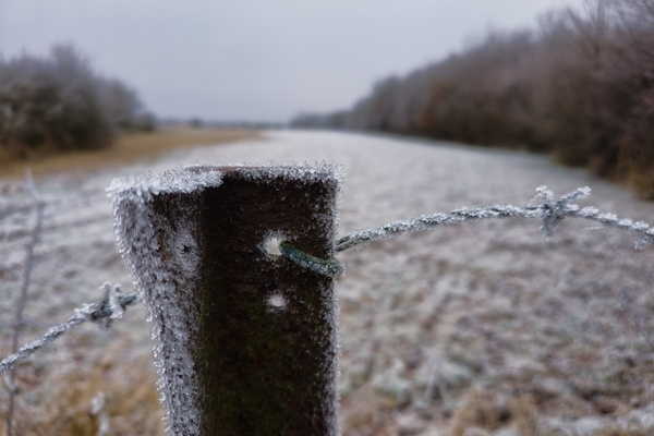 The sharpness of a winter fence
