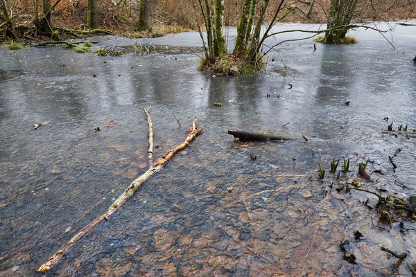 When the pond became a skating rink