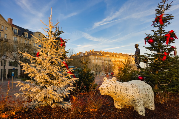 Bear necessities in Metz