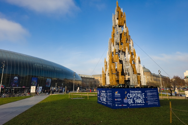 A gold tree in Strasbourg? Is that for real?