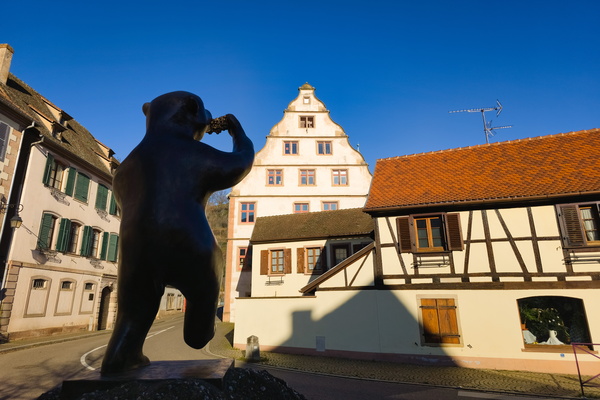 Bear Necessities of Andlau