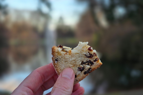 A bite in the park