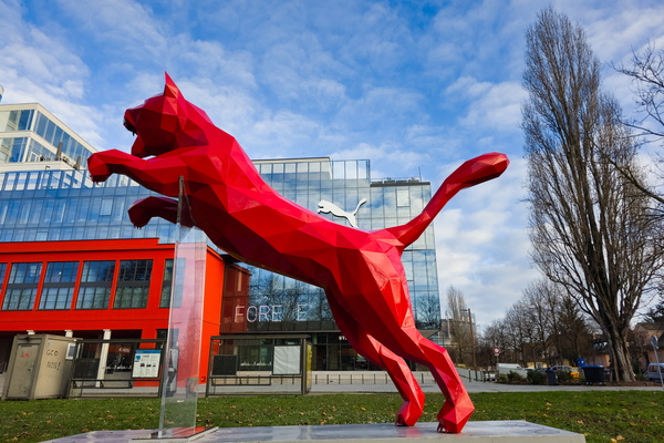 A Cat's leap, or a Puma's pose?