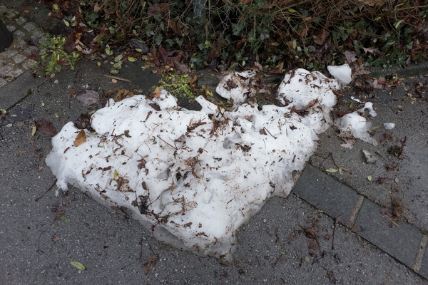 Snowdrift's last stand