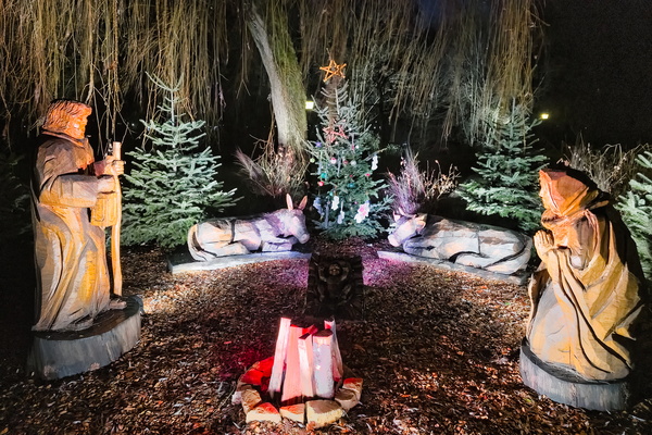 A wooden Christmas in the middle of nowhere