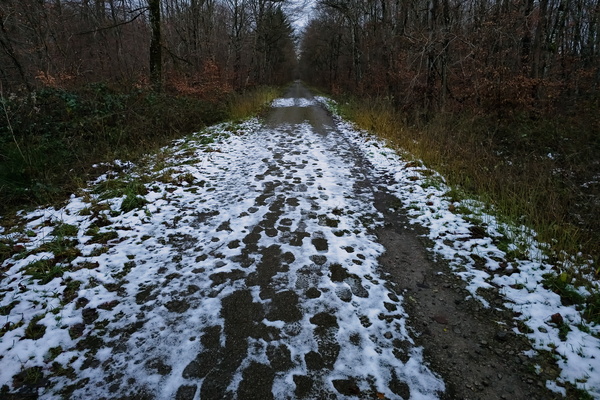 Snow way, that's a lot of footprints!