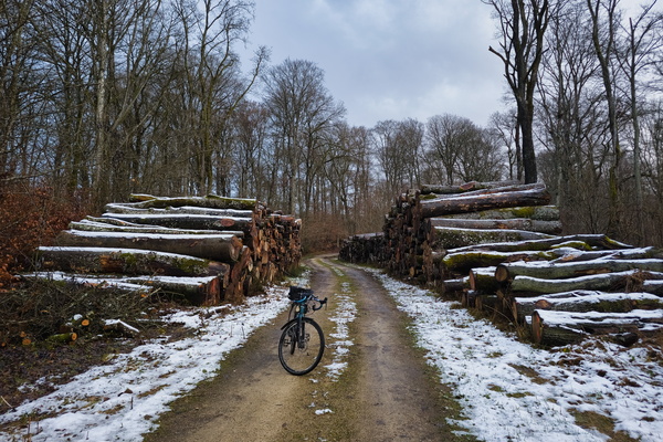 My bike got logged on