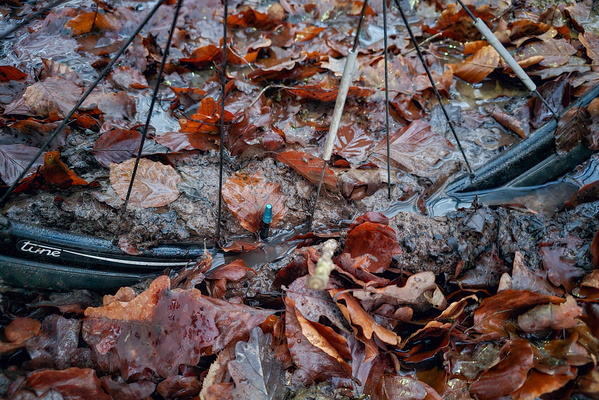 Bike wheel in a leaf stew