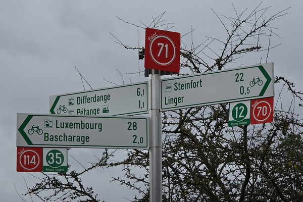 Decisions, decisions, which direction will I chose?