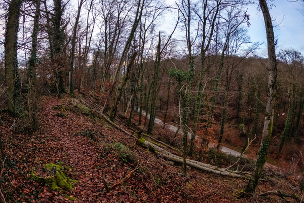 A natural way in Nospelt