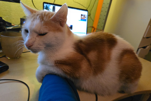 The nap-time negotiator