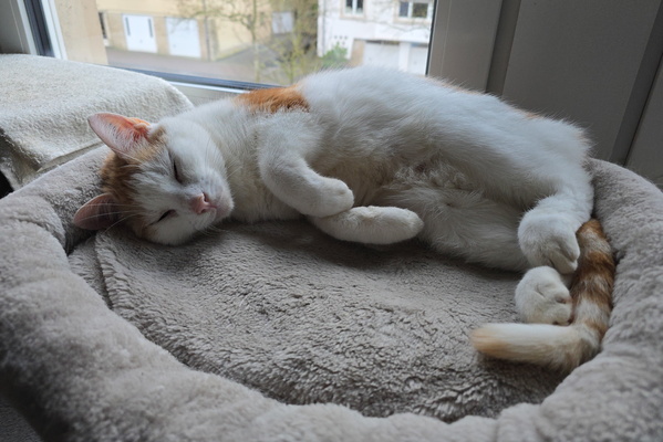 Serene sleep