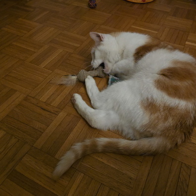 20241219_184211.jpg