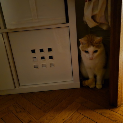 20241219_201919.jpg