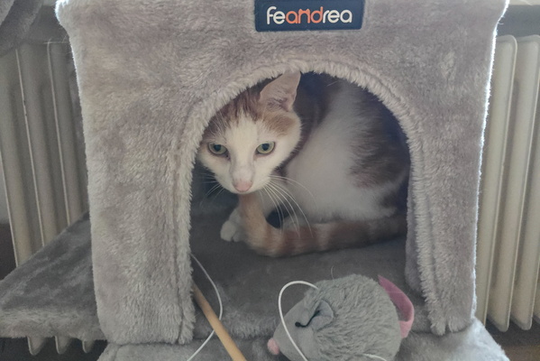 Timmy in his hideaway