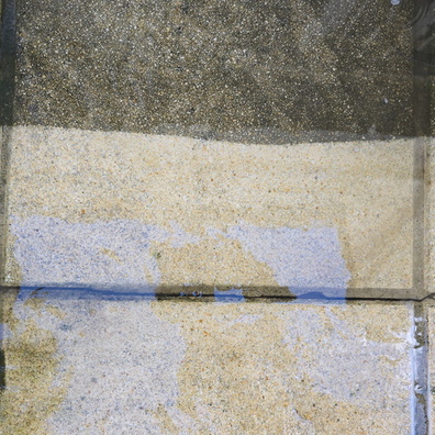 20241022_122649.jpg