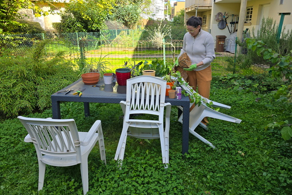 Pots, plants and repot