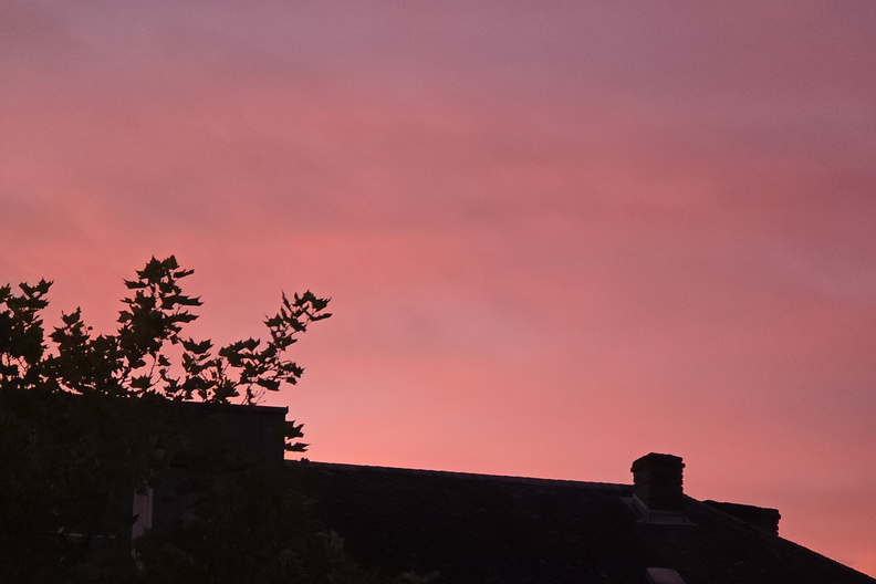 20241006_073131.jpg