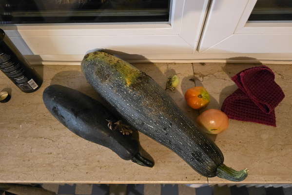 Garden Harvest