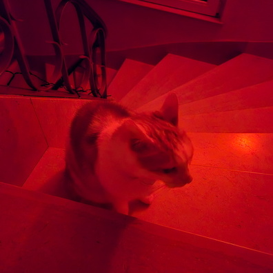 20250101_000121.jpg