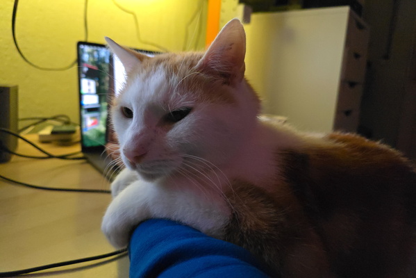 The Enigma of the Armrest
