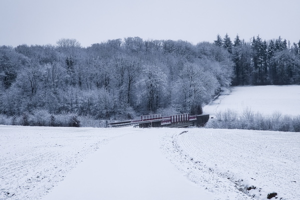 Winter's Embrace on the Landscape