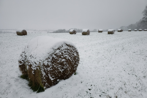 Hay There! Snow Problem!