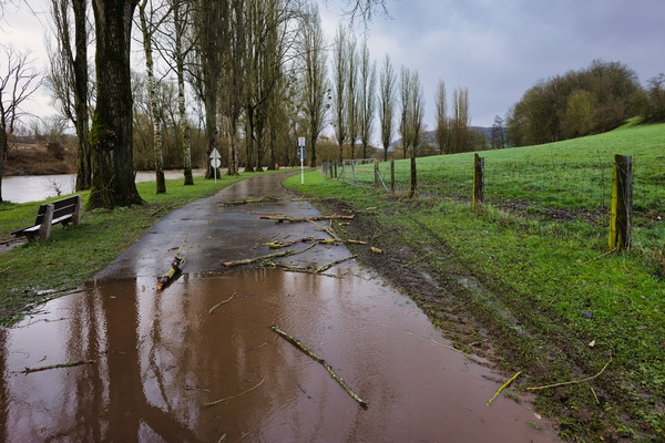 When the Cycle Path Becomes Water and Wood Features