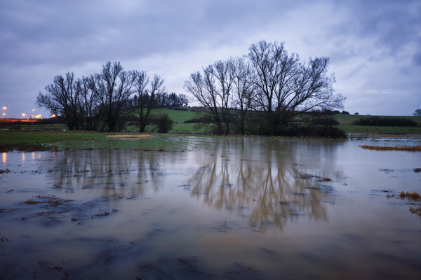 Embracing the Raw Beauty of the Flood
