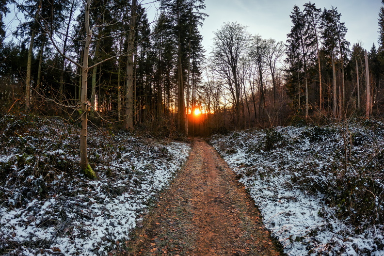 20250114_165014.jpg