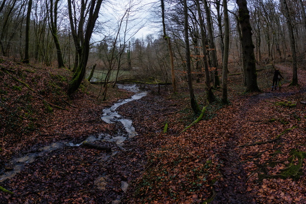 Esch-sur-Alzette's Natural Landscape