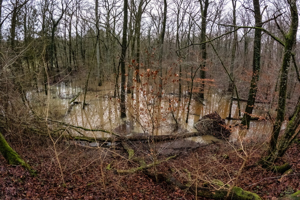 Well, that's one way to ruin a walk