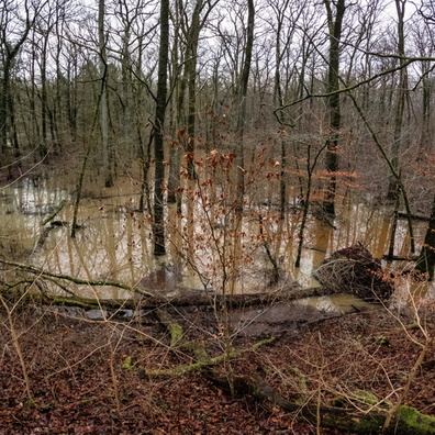 20250110_154409.jpg