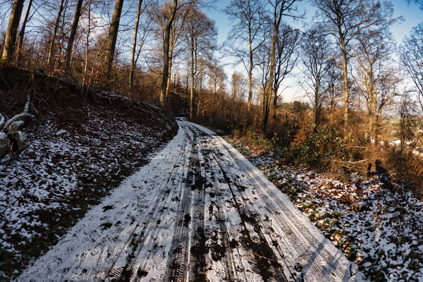Contemplating the Quiet Path of Winter
