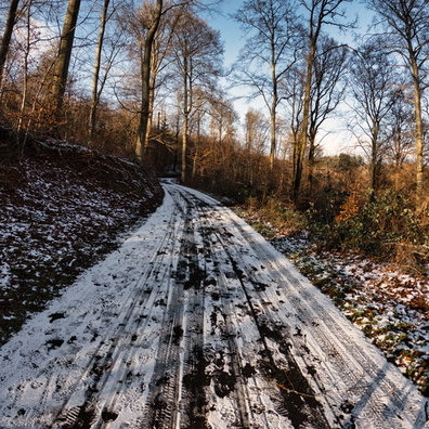 20250111_145614.jpg