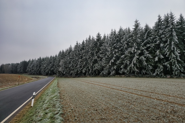 Winter's Embrace on the Forest Edge