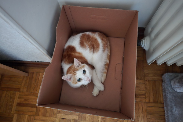 Boxed In, But Not Broken Out!