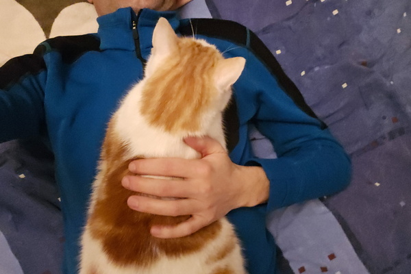 Cuddle Time with Timmy