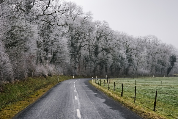 A Frosty Ride on a Winding Road
