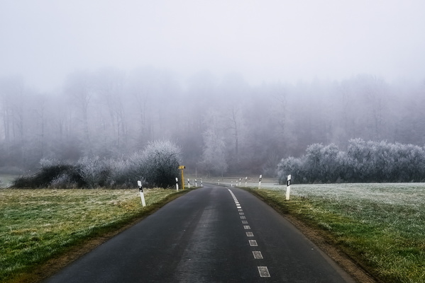 When the Fog Decides to be the Star