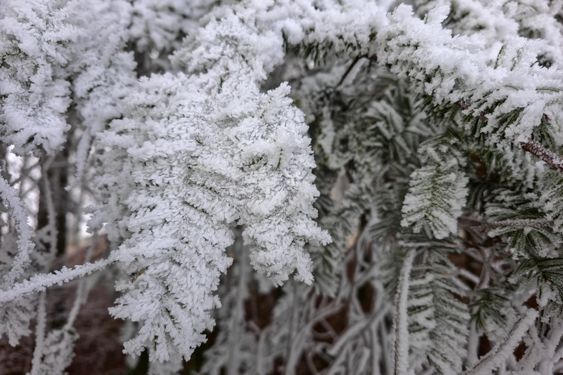 20250121_152032.jpg