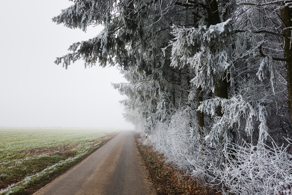 The Path to Nowhere