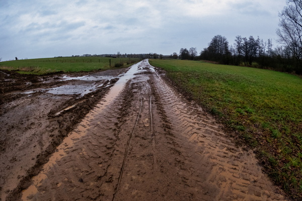Mud, Mud, Glorious Mud!
