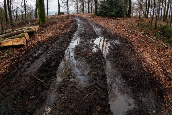 Puddle jumping adventure