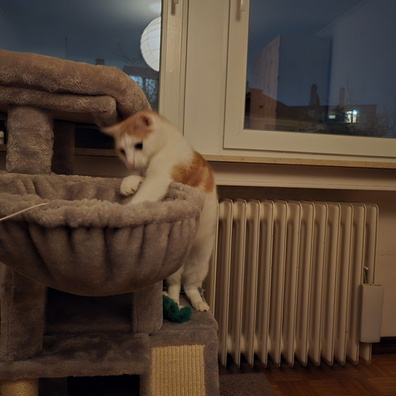 20250122_182837.jpg