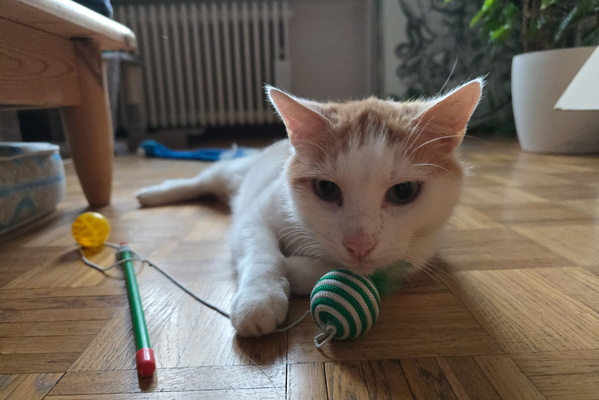 The Reign of the Yarn Terror Begins!