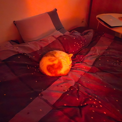 20250123_011506.jpg